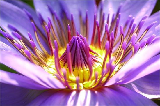 我拿什么爱你，我的父母