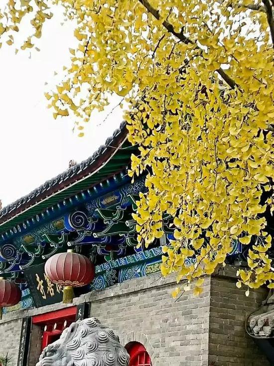 命运可改造,操之在自己
