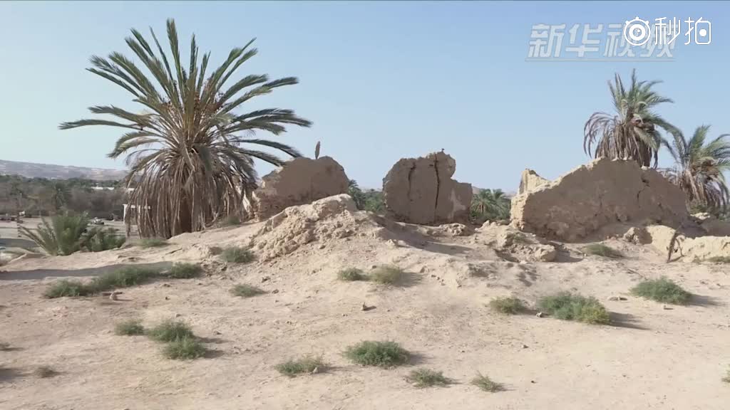 埃及新出土一座希腊罗马时期神庙