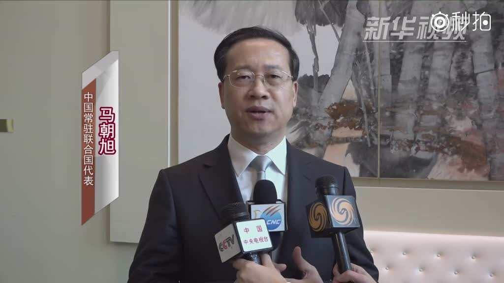 中国代表呼吁有关各方在叙利亚问题上保持克制