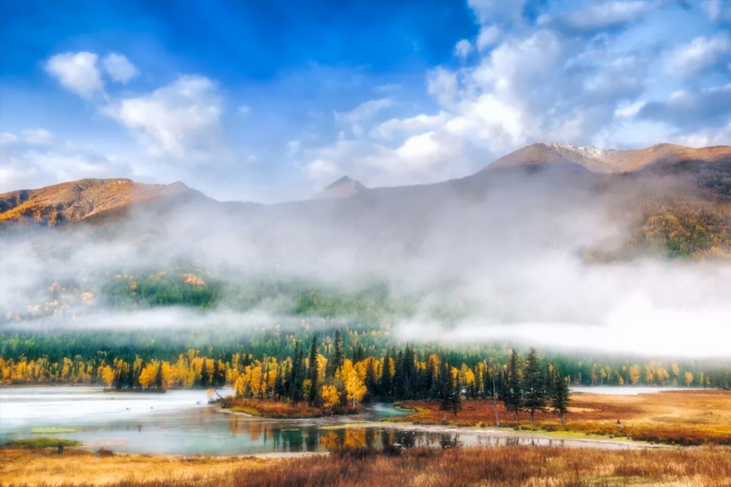 新疆的秋一草一木皆風(fēng)景