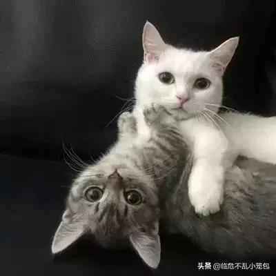 挑一句你喜欢的去发朋友圈吧