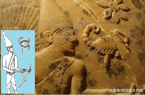 《木乃伊》蝎子王确有历史原型 远非中国蝎子那么弱|上埃及|蝎子|蝎子