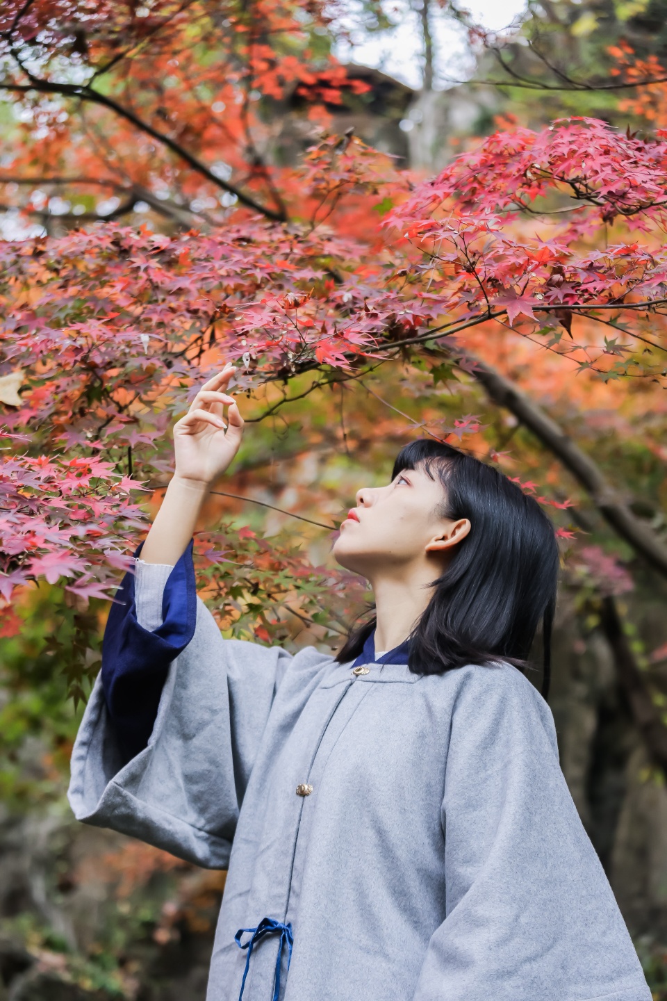 在栖霞山着一袭古装,挥一挥衣袖,拍出秋末最动人的枫叶照.