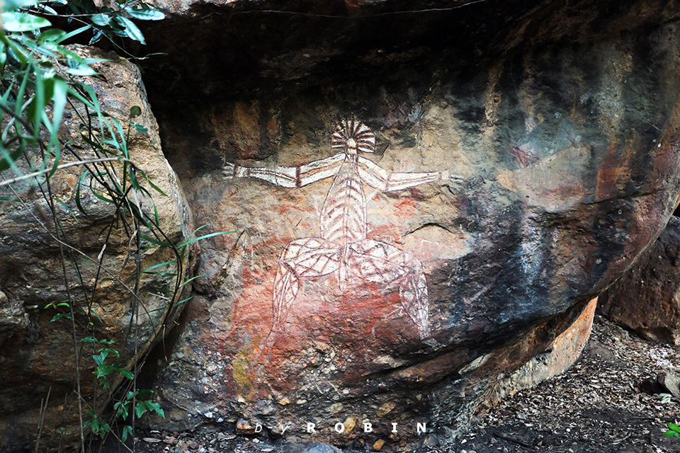 纵贯<a href='http://travel.sina.com.cn/aodaliya-lvyou/?from=b-keyword' target='_blank'><em>澳大利亚</em></a>—最大国家公园卡卡杜