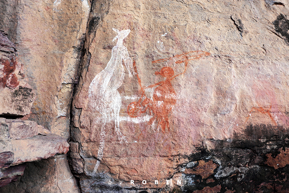 纵贯<a href='http://travel.sina.com.cn/aodaliya-lvyou/?from=b-keyword' target='_blank'><em>澳大利亚</em></a>—最大国家公园卡卡杜