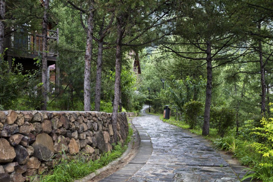 逃脱城市樊笼,去高山森林享受纯大自然的休闲乐趣