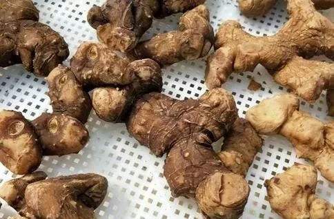 用黄精泡水喝,原来还有气血双补的效果呀
