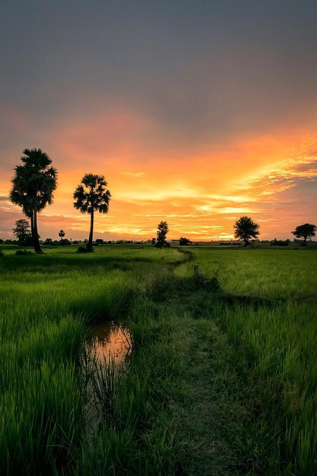 一级棒的励志的句子,致拼搏路上的自己