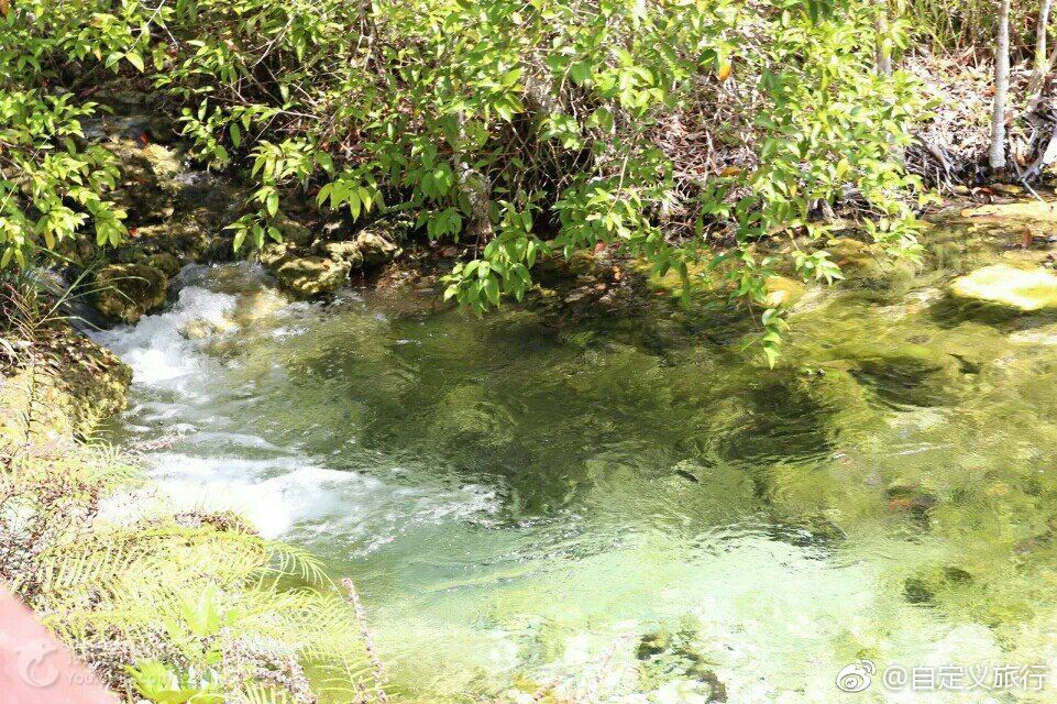 甲米旅游景點打卡 翡翠湖