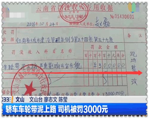 下雨天开轿车上路,男子被城管罚款3000元,感觉