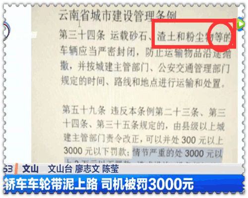 下雨天开轿车上路,男子被城管罚款3000元,感觉