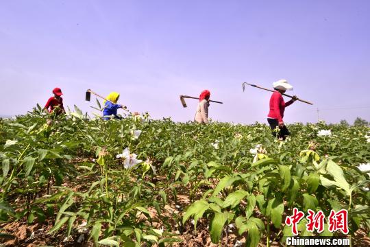 中国农村人口有健保吗_全中国人口有多少人