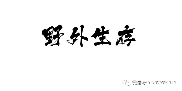 论无淡水“海岛求生”方法