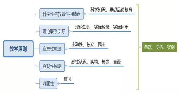 get!小学科目二教资必看真题及必会考点来了!