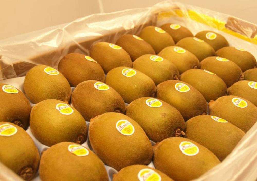 你知道奇异果和猕猴桃的区别吗?