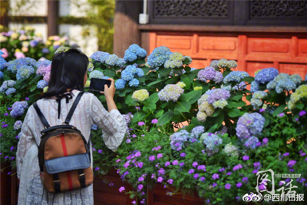 这个为什么溢价这么高，哪位大神来解释一下