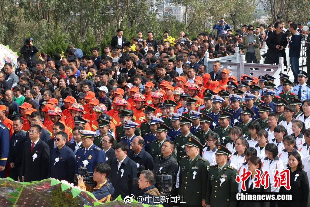张福根与陆小雅，网络视频与剧情介绍