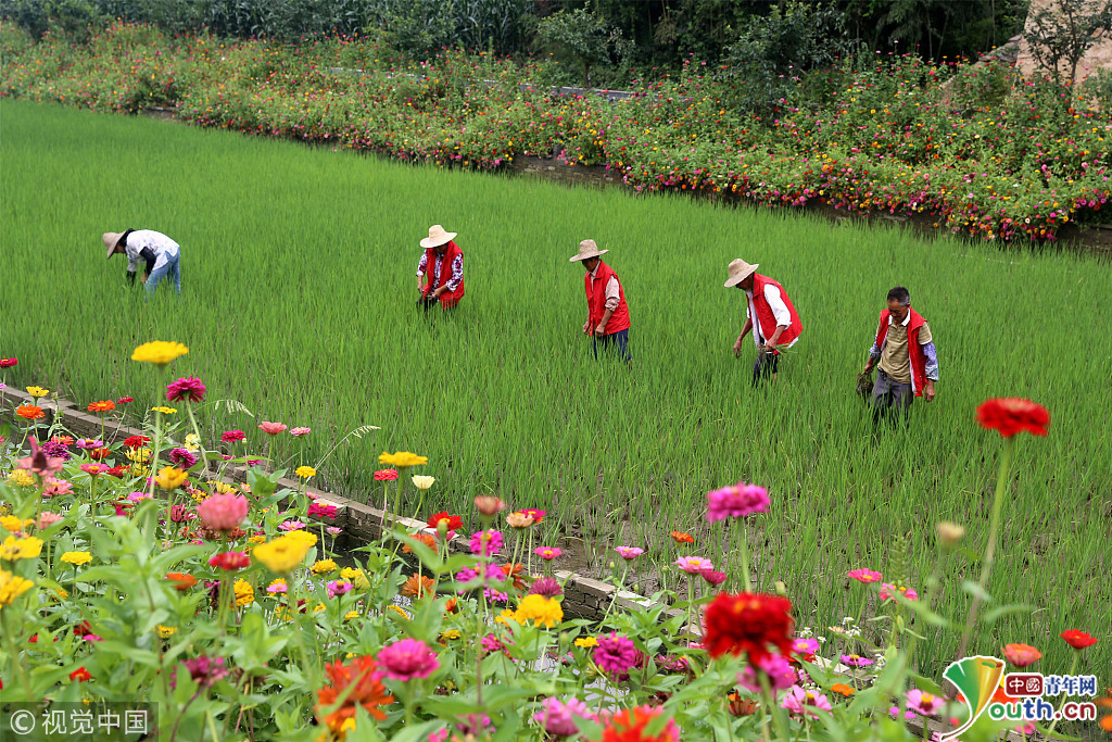 悯农诗歌赏析 珍惜粮食的意义