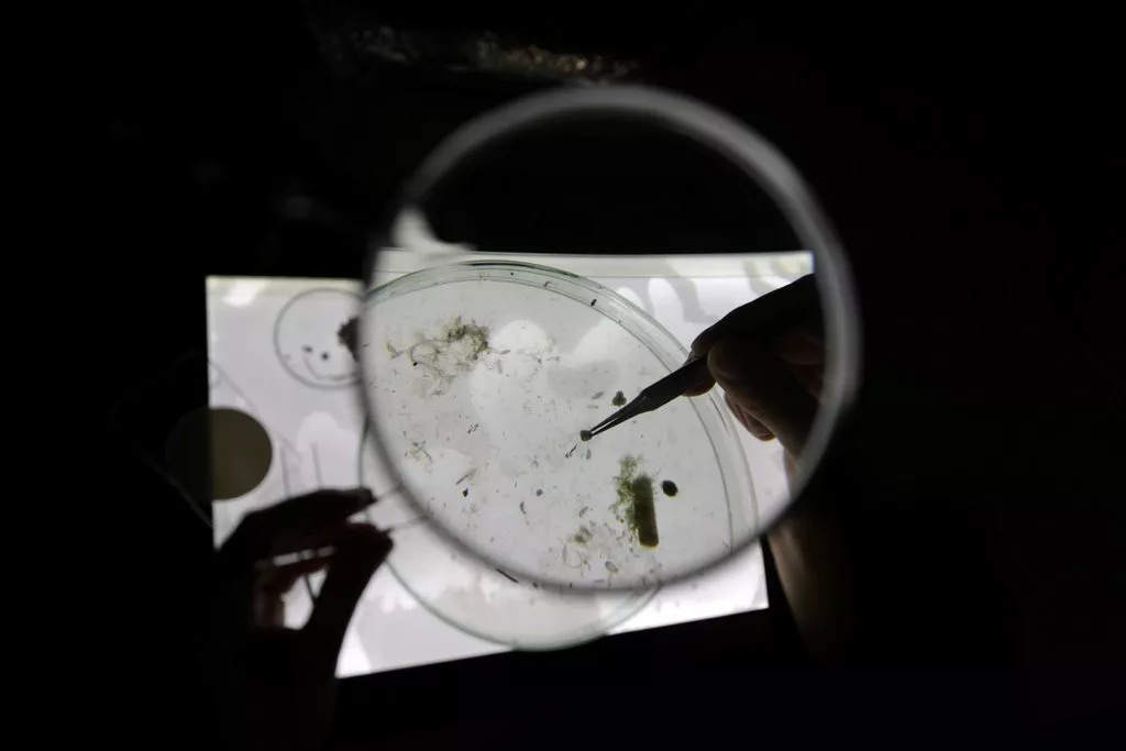 科学家观察海水中的微塑料 图据纽约时报
