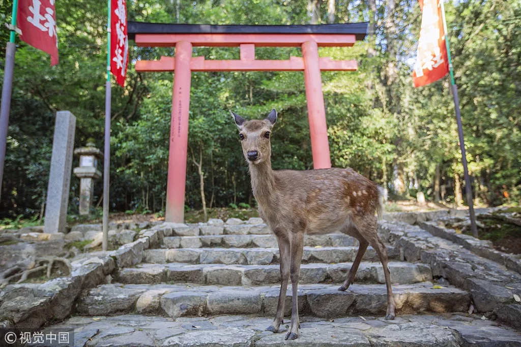 暖春旅行攻略重磅来袭!谁能屏霸榜单?