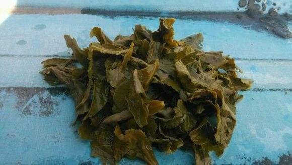 自制花肥恶臭冲天？用这4个小窍门，花肥不臭作用更好！