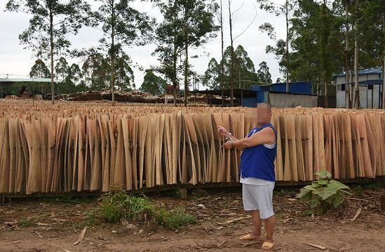 南宁警方成功铲除盘踞伶俐镇作恶多端的黑社会团伙