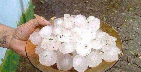 鸡蛋大的冰雹下了45分钟,居然把羊都砸死了,更