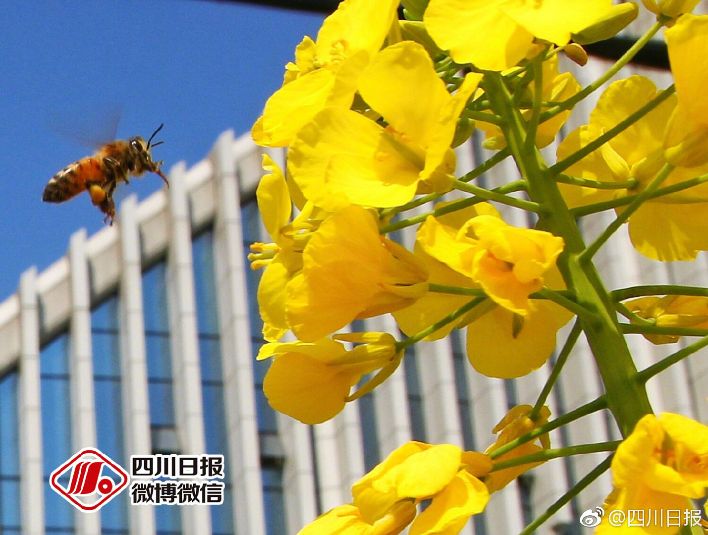 南宁武汉生殖中心医生排名南宁试管流程