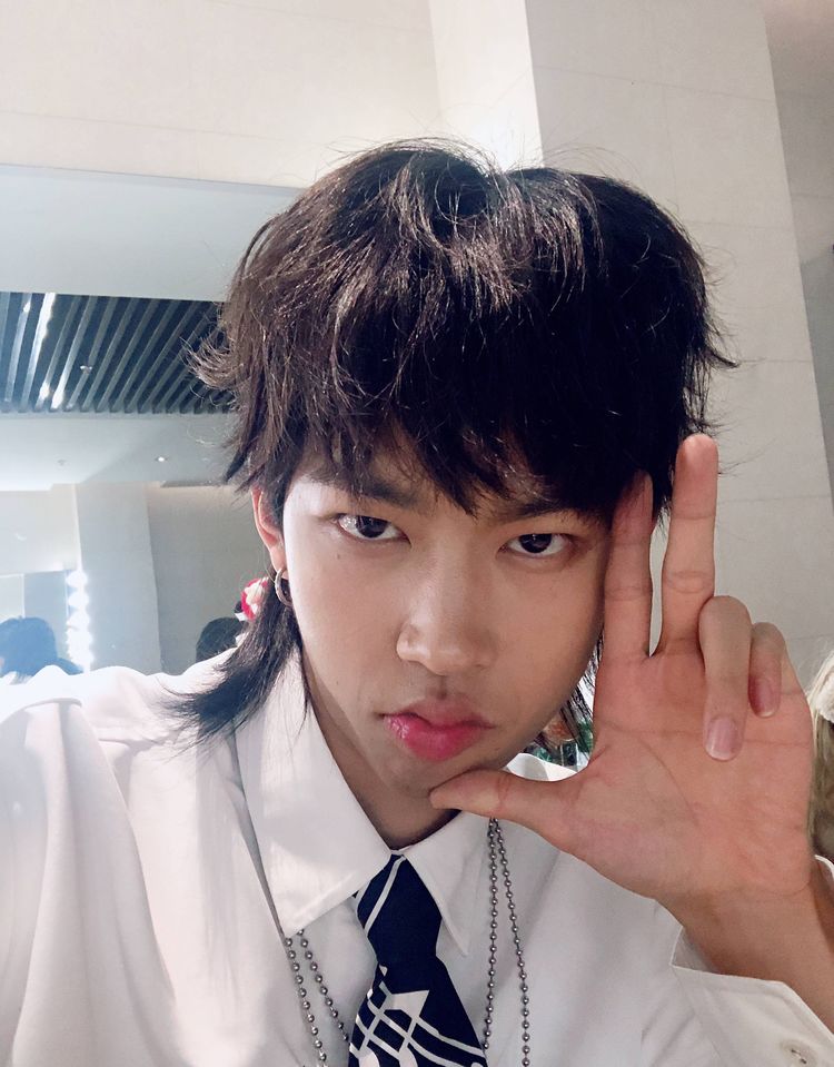 斯外戈剪了吴亦凡同款“狮子头”发型，网友:别再“丑化”形象了