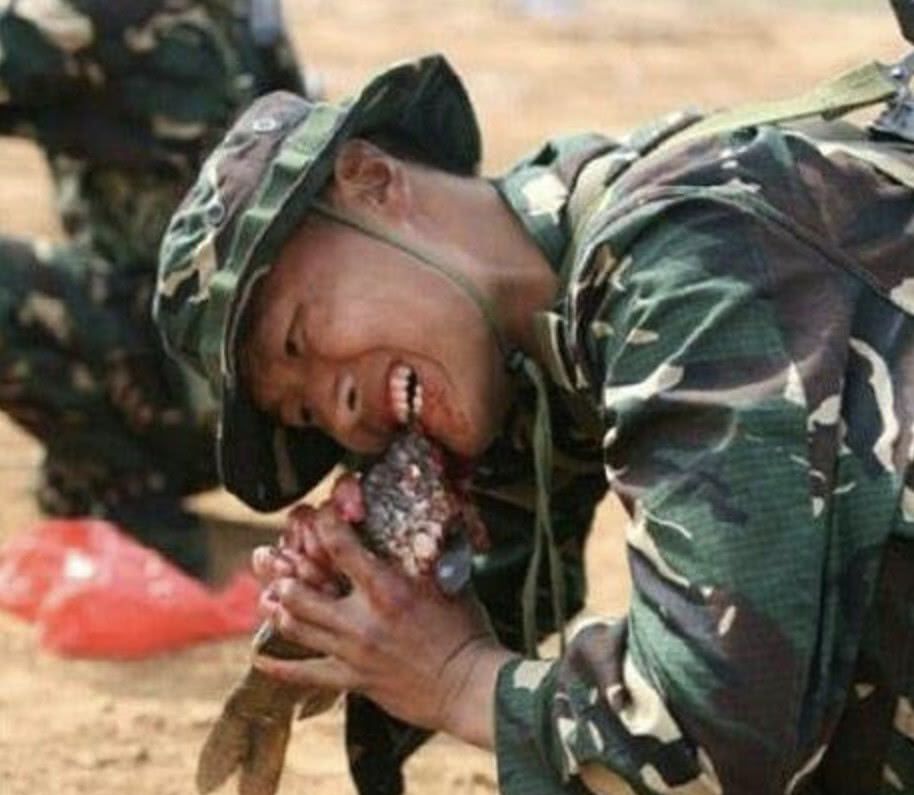 中国特种兵在野外训练都吃的啥?看完才发现荒野求生真