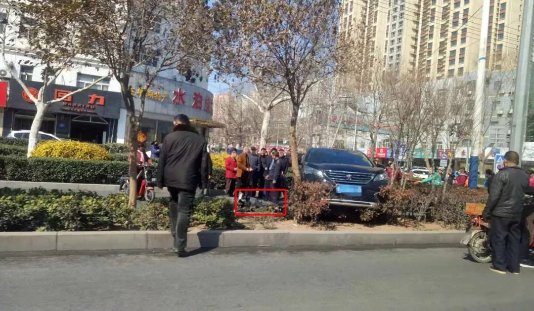 最新最全的“电动车“资讯都在这里，不容错过