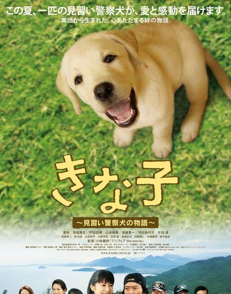 励志狗狗梦想成为警犬 连续6年失败仍坚持 事迹感人被拍成电影
