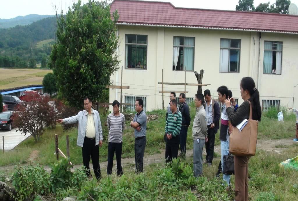 农村养老保险交9万,月月领钱,专家说划算,农民