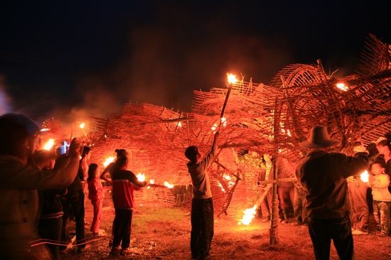 1537508613618381.jpg timg (8).jpg