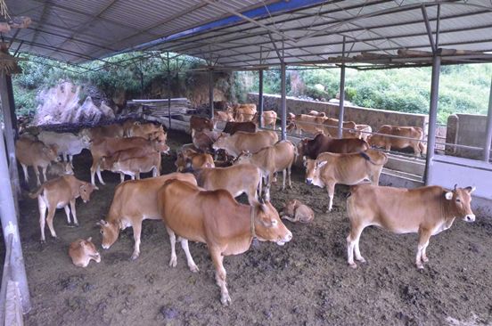 开元棋牌- 开元棋牌官方网站- 开元棋牌APP下载破局之势 县域之变！甘谷这五年……