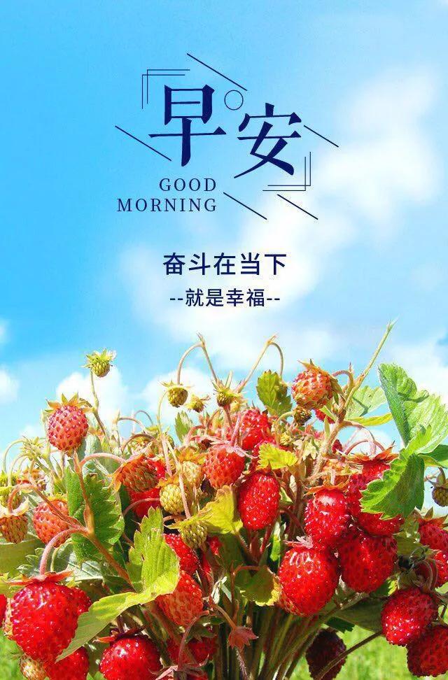 早安八个句子,生命短暂而美好,没时间纠结,没时间计较