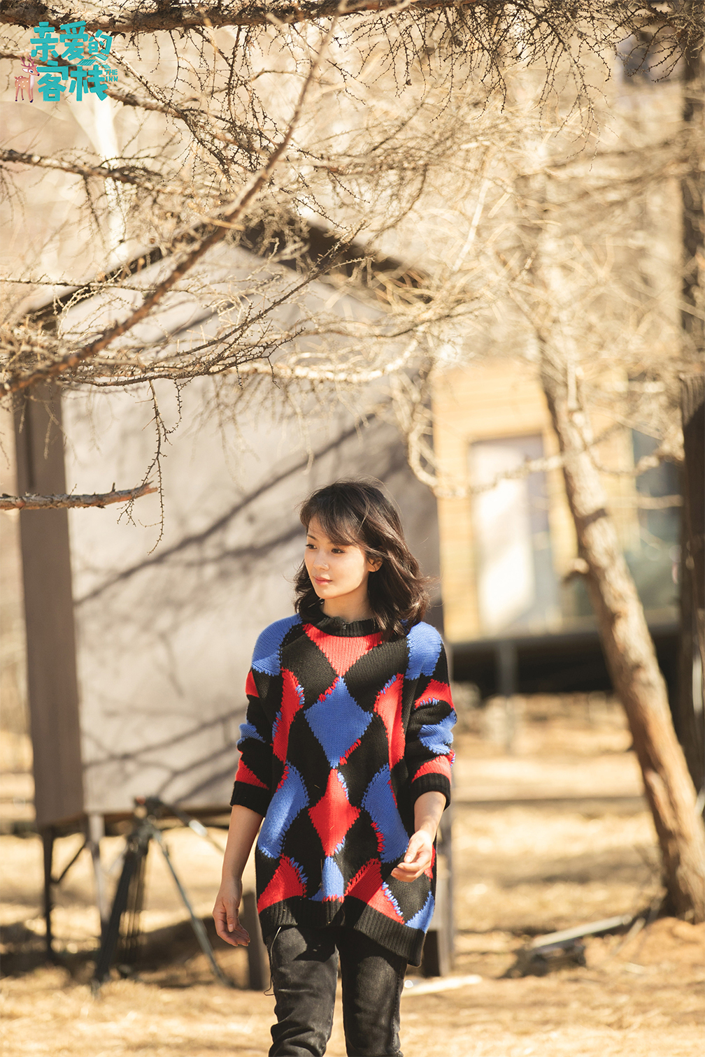 王珂谈刘涛曾怀孕吊威亚拍戏坠马 亲爱的客栈