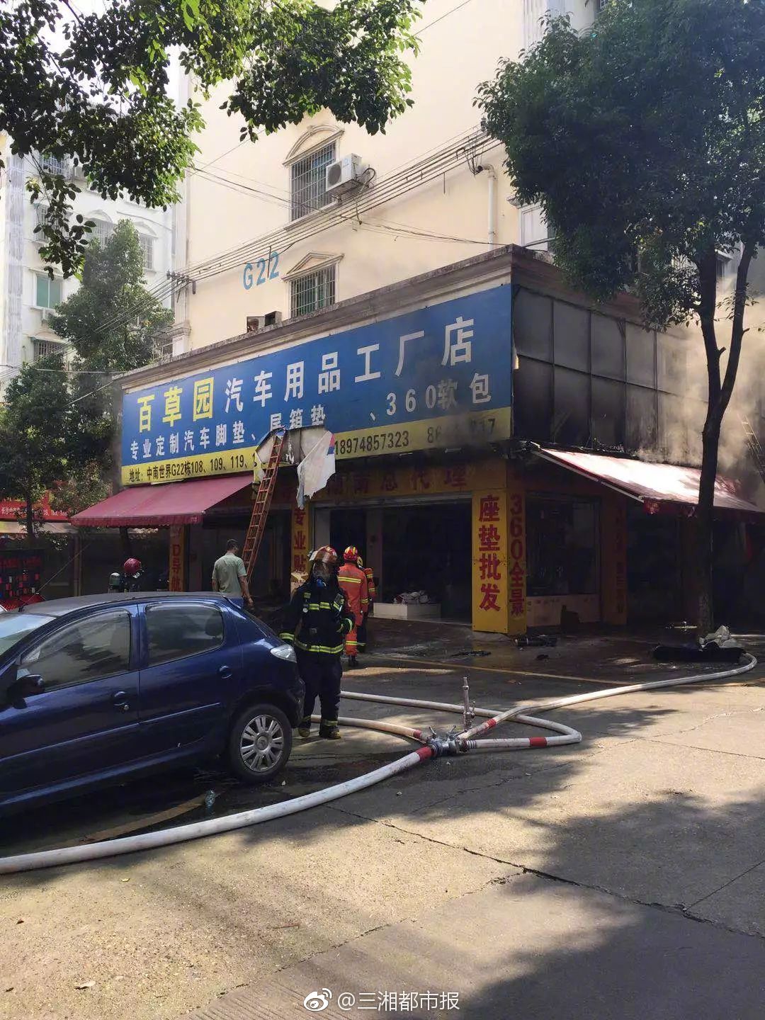 成熟了的西梅是什么顏色的 