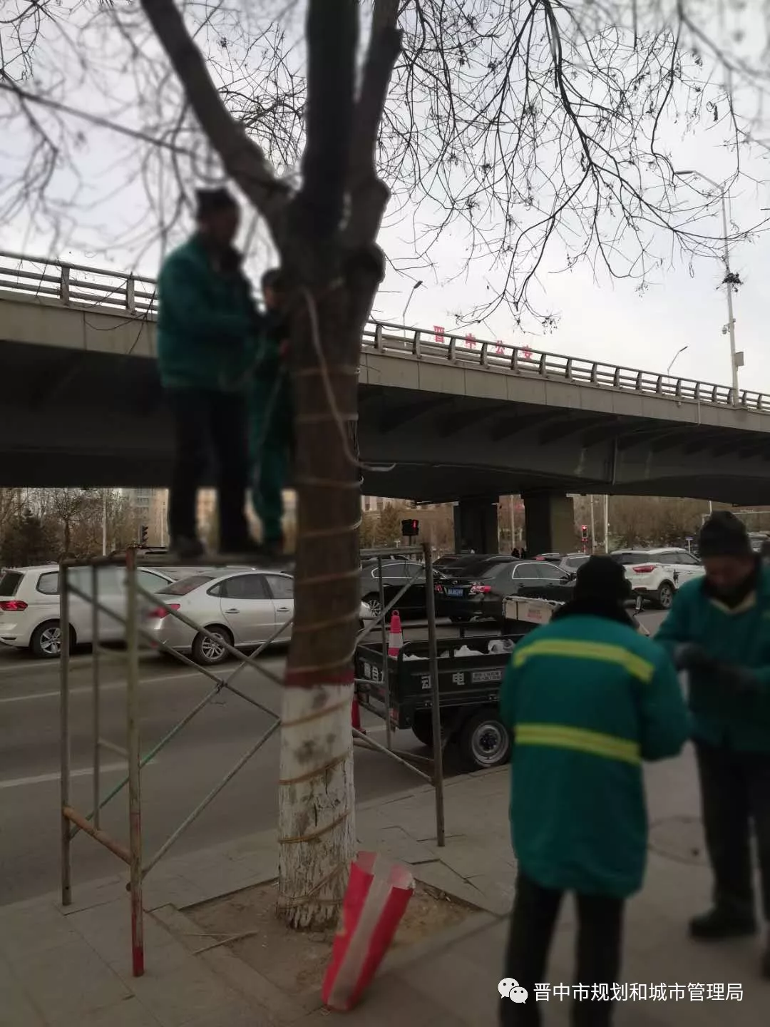 市园林局积极开展2019年市城区“两节”亮化工作