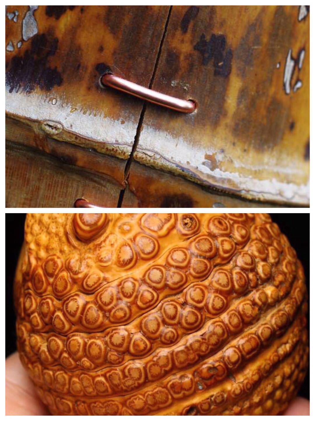 竹根如何防裂与把玩 一篇文章系统告诉你