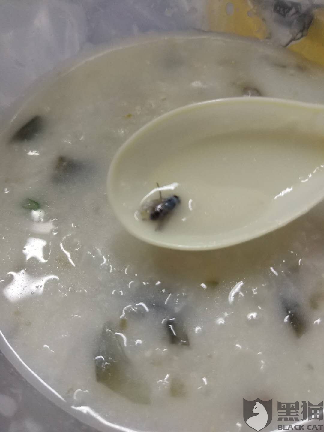 中午吃饭时,发现汤里有2只苍蝇,怎么办?已经喝了一碗了.(图14)