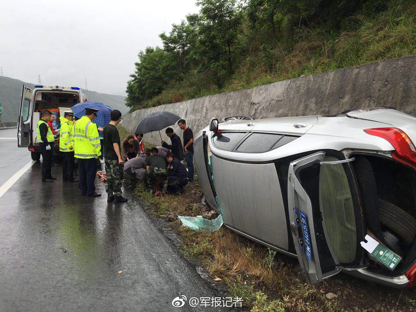 日本4只松鼠争先出巢 脑袋填满树洞惹人喜爱