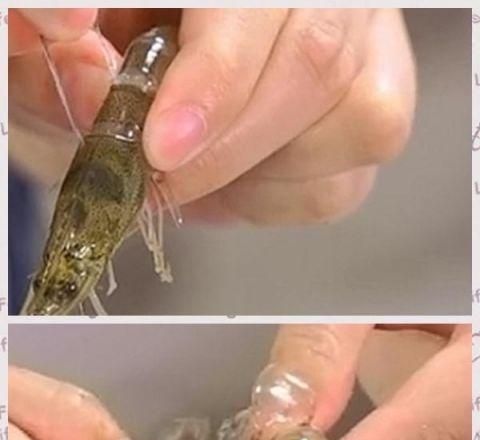 百吃不厌的广式水晶虾饺 详细正宗做法大公开