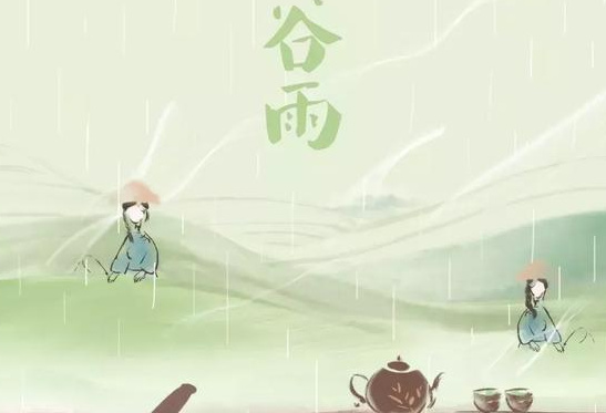 今日谷雨:杨花落尽子规啼,要和春天说再见了