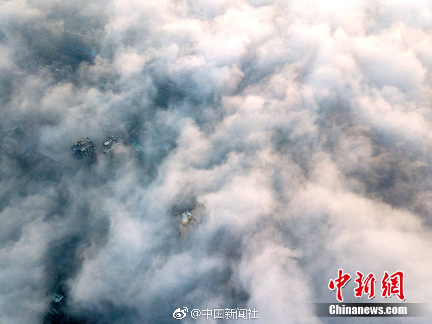 文化艺术融媒体专栏《合肥文艺》开播