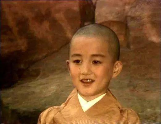 这次连老公,经纪人也下场了