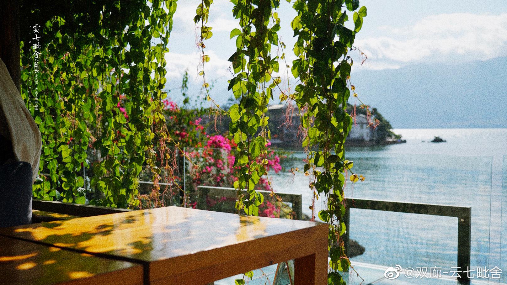 院子里的一草一物，用心栽種，精心擺放，盛滿著心意