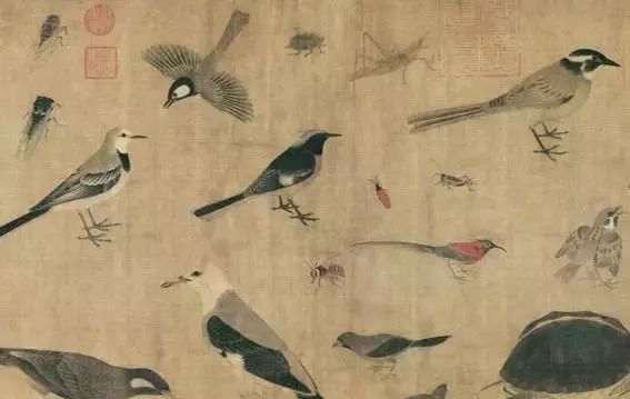 黄筌《写生珍禽图卷》，惟妙惟肖