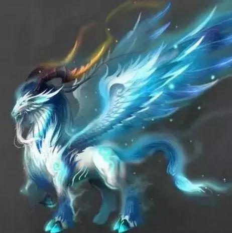 十二星座守护神兽双子座吉祥的象征水瓶座是太阳精灵